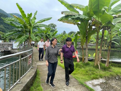 省民宗委一级巡视员吴红娅一行到清江鲟龙调研